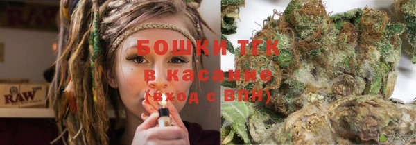 прущие грибы Заволжье