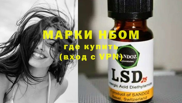 винт Алзамай