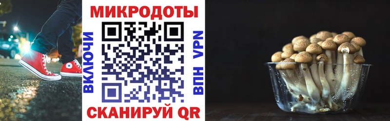 продажа наркотиков  Мостовской  Галлюциногенные грибы GOLDEN TEACHER 